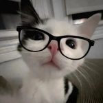 Narriom的头像-二次元天堂