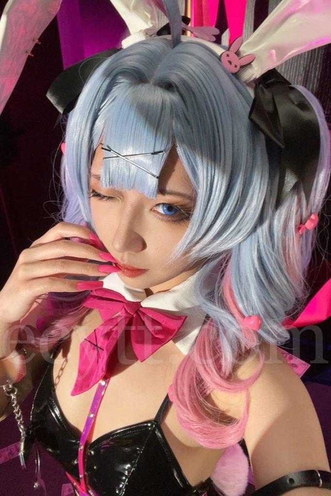 絞肉姬Walküre 初音未来 兔子洞作品预览